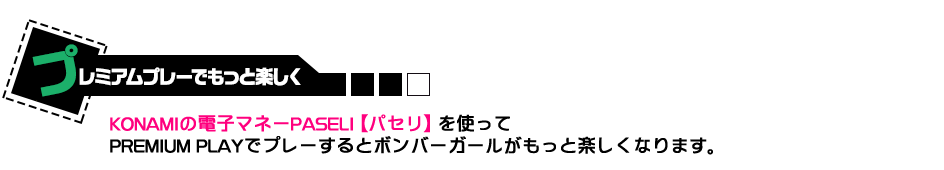 プレミアムプレーについて