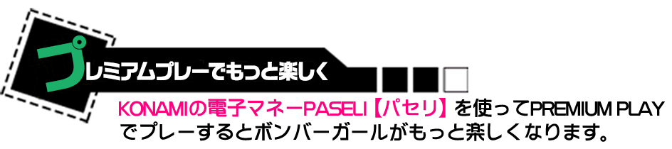 プレミアムプレーについて