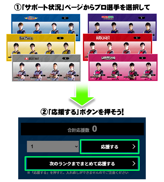 みんなで応援！BPLプロ選手サポーターズ2021