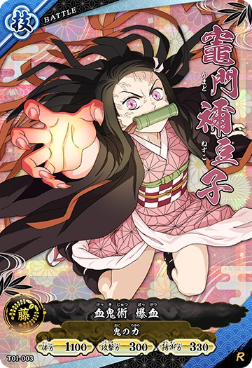 竈門 禰󠄀豆子