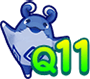 Q11