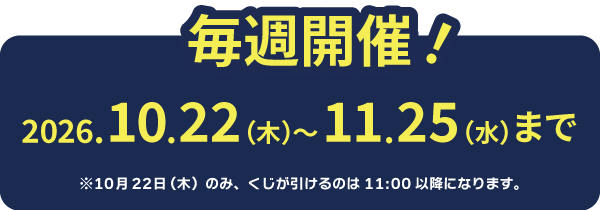 スケジュール