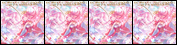 ジャケット