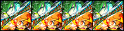ジャケット